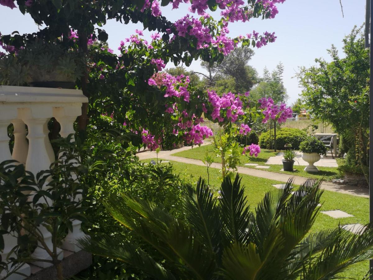 Apartments Daniela Vodice Exterior photo